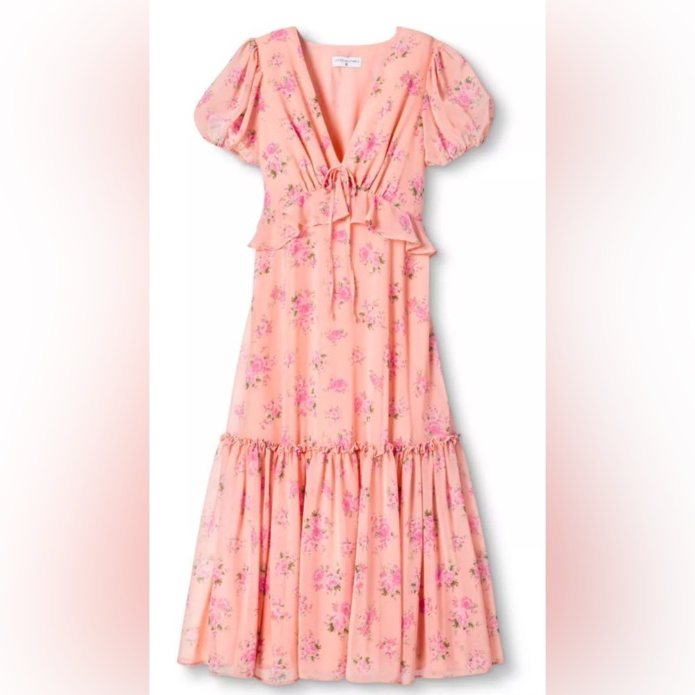 LoveShackFactory X Target - Fleur Chiffon Pink Floral Lined Maxi Dress Size 8 - Picture 1 of 12